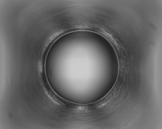 X0000113610060200909181427