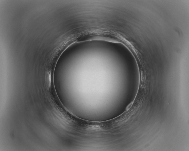 X0000113610061200909181427