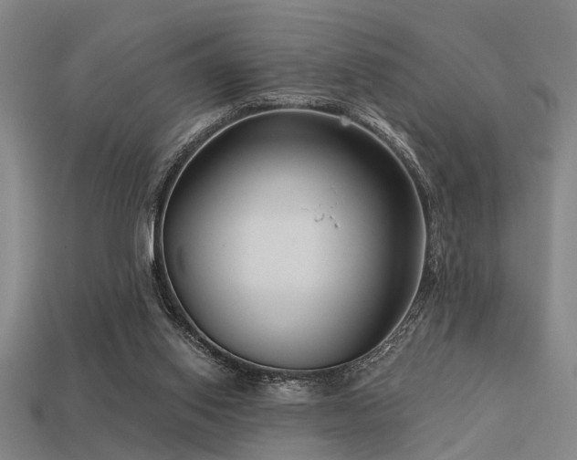 X0000113610062200909181427