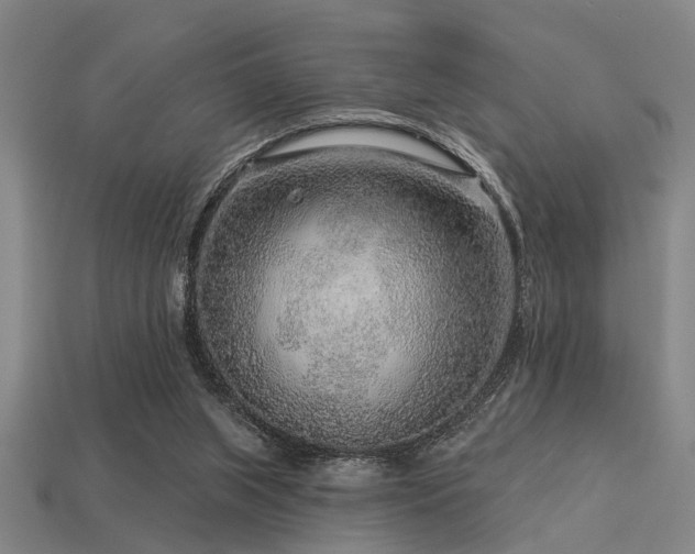 X0000113610063200909181427