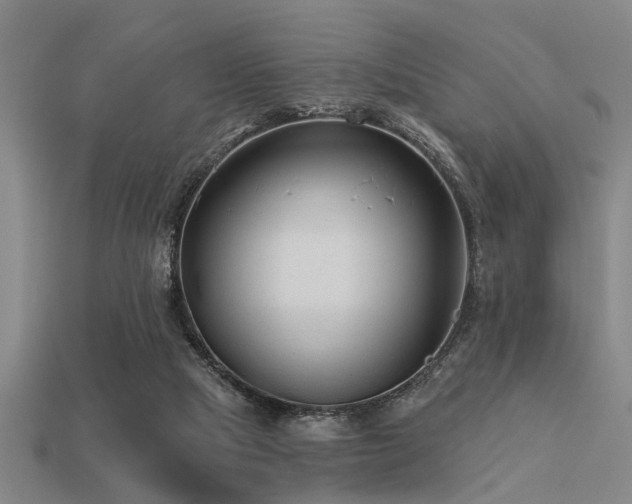 X0000113610065200909181427