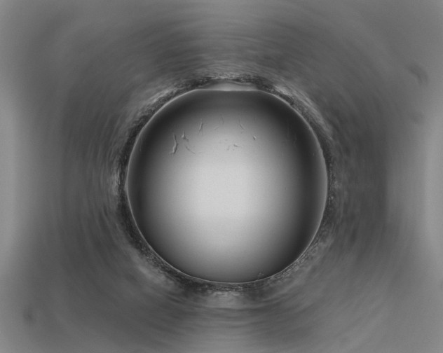 X0000113610066200909181427