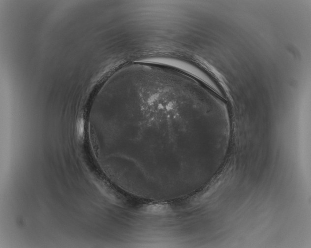 X0000113610067200909181427