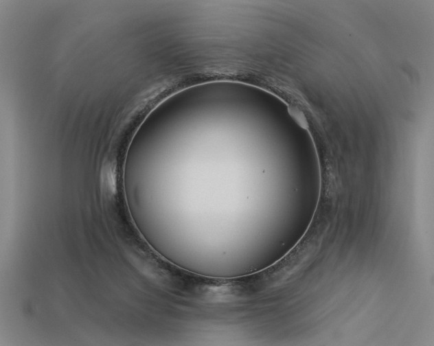 X0000113610068200909181427