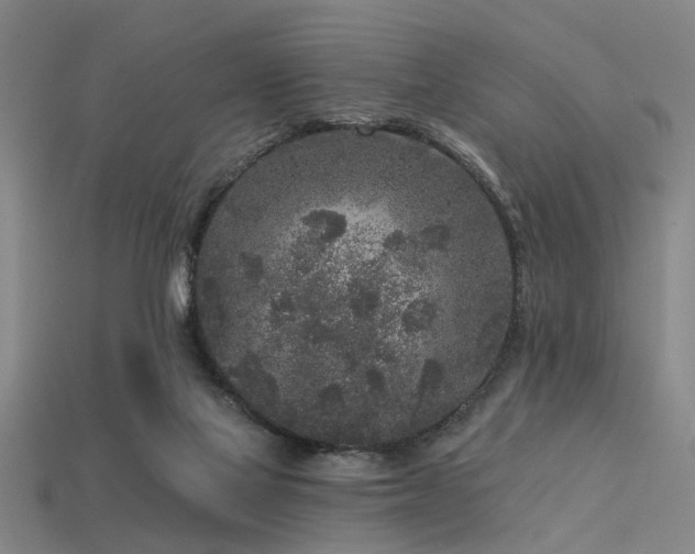 X0000113610069200909181427