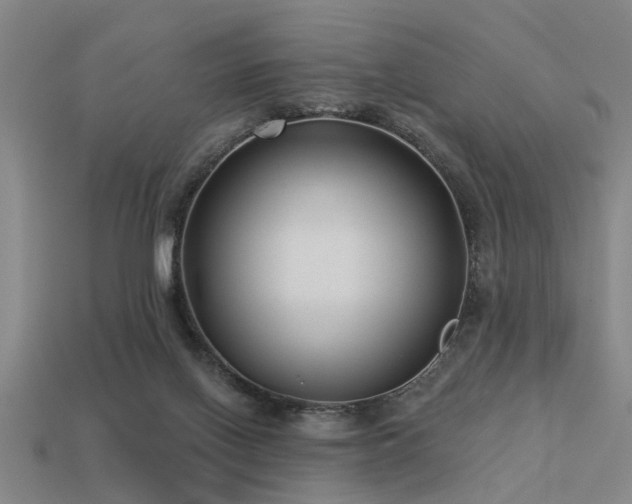 X0000113610070200909181427