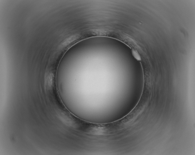 X0000113610071200909181427