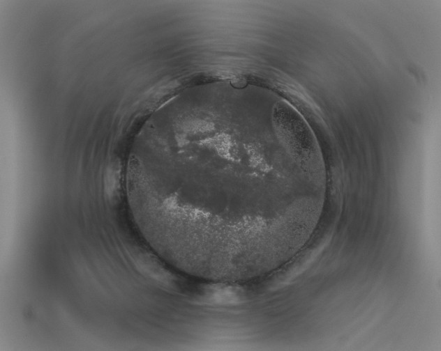 X0000113610073200909181427