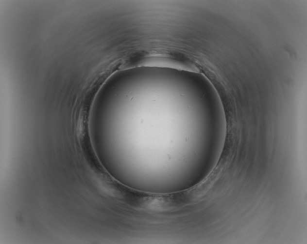 X0000113610074200909181427