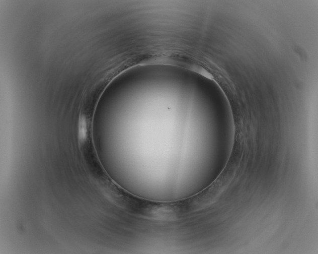 X0000113610075200909181427