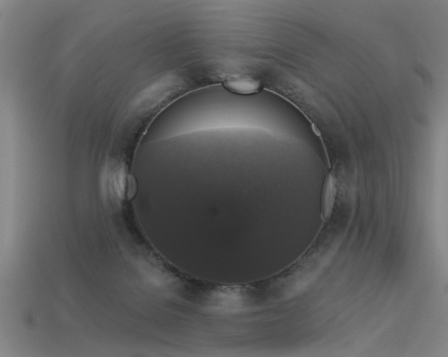 X0000113610076200909181427