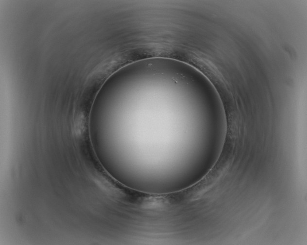 X0000113610077200909181427