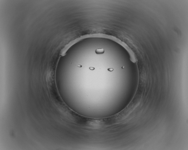 X0000113610079200909181428