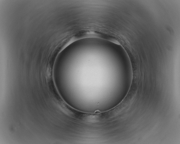 X0000113610081200909181428