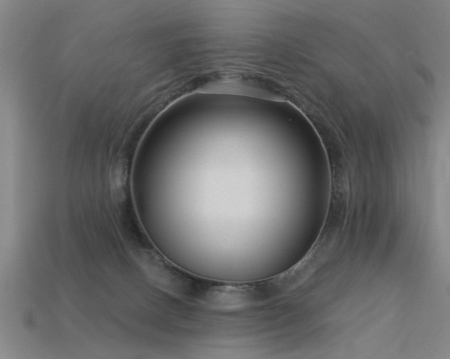 X0000113610082200909181428