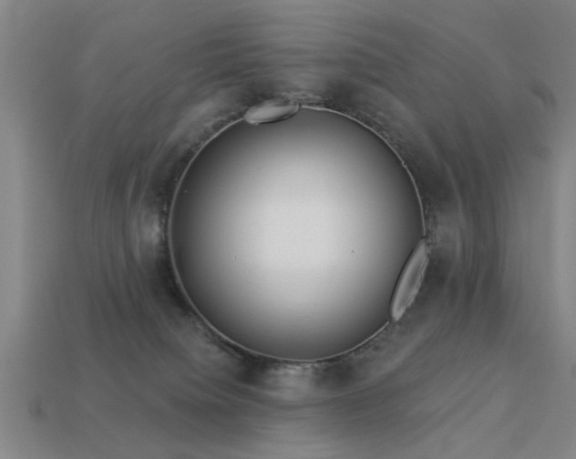 X0000113610084200909181428