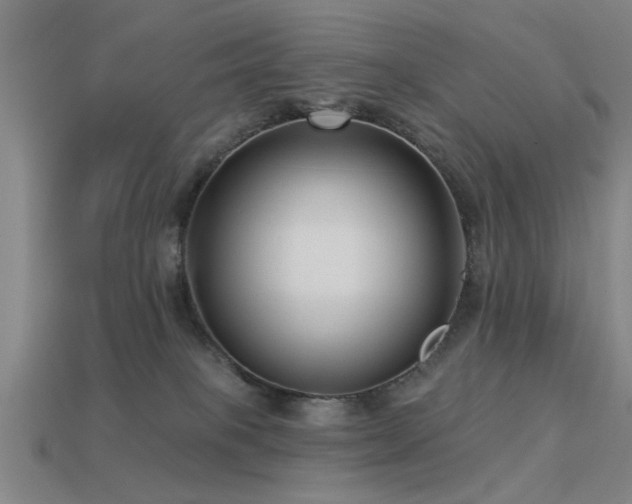 X0000113610085200909181428