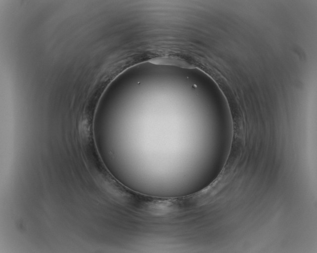 X0000113610086200909181428