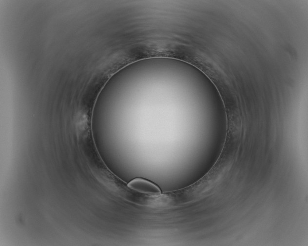 X0000113610087200909181428