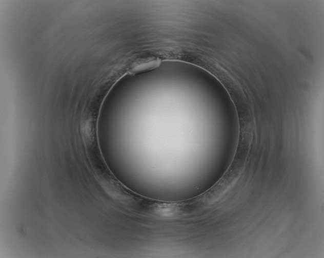 X0000113610088200909181428