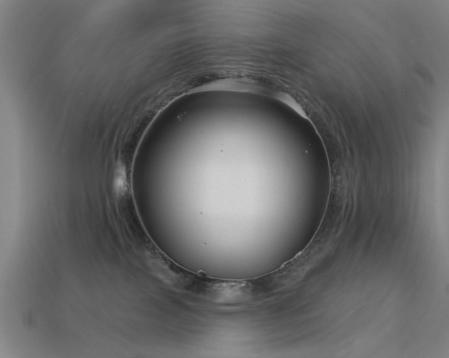 X0000113610089200909181428