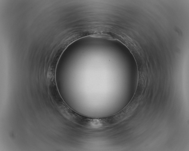 X0000113610091200909181428