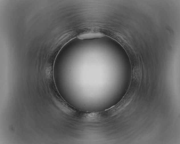 X0000113610092200909181428