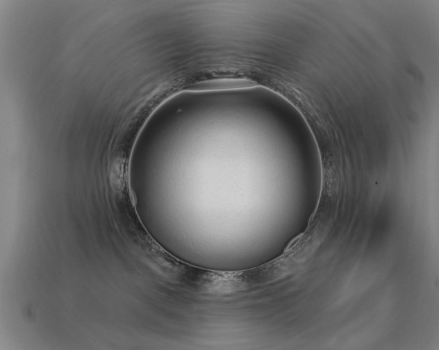 X0000113610093200909181428