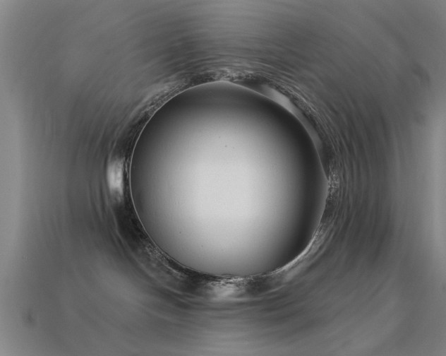 X0000113610094200909181428