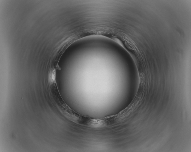 X0000113610095200909181428