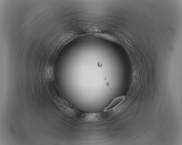 X0000113610096200909181428