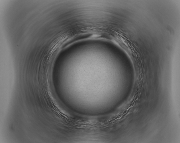 X0000113610097200909181427