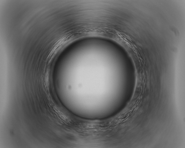 X0000113610098200909181427