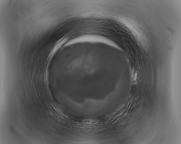 X0000113610099200909181427