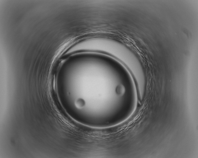 X0000113610101200909181427