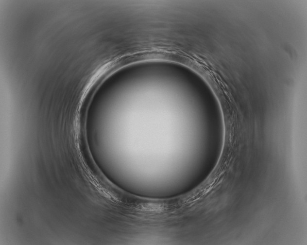 X0000113610102200909181427