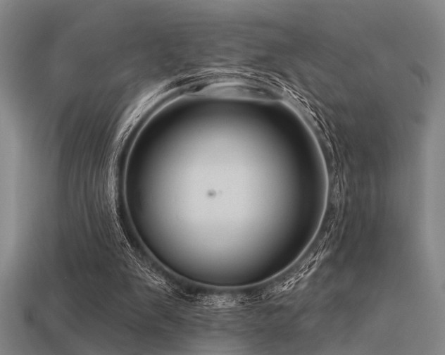 X0000113610103200909181427