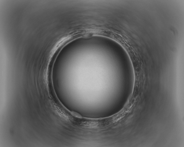 X0000113610104200909181427