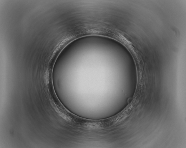 X0000113610106200909181427