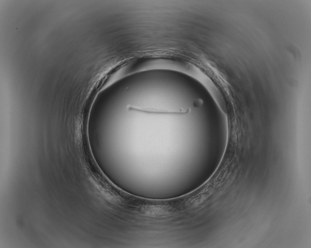 X0000113610107200909181427