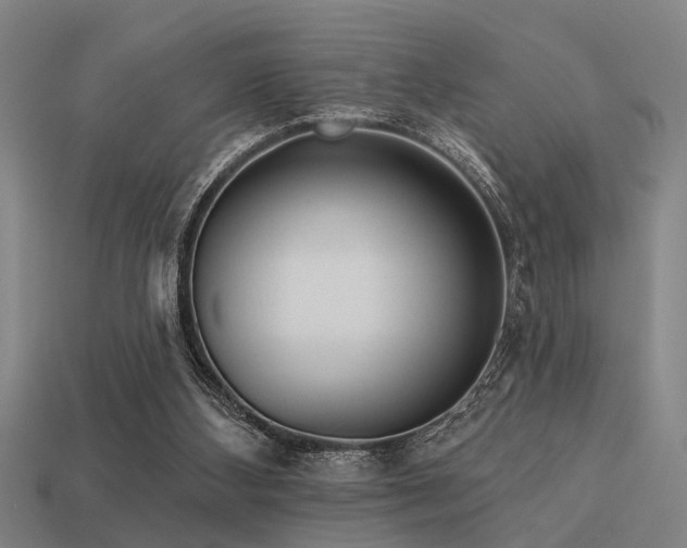 X0000113610108200909181427