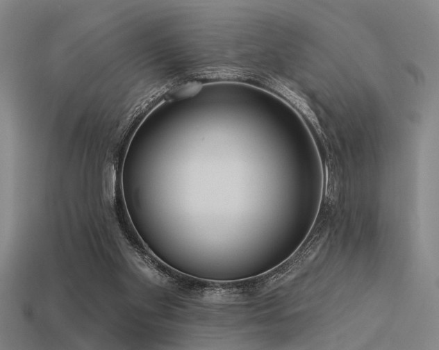 X0000113610109200909181427