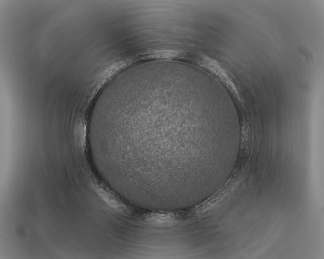 X0000113610110200909181427