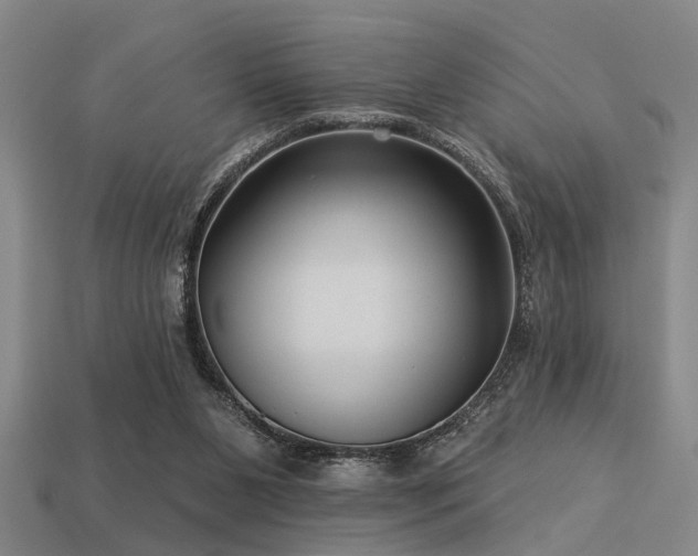 X0000113610111200909181427