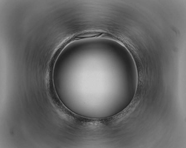 X0000113610112200909181427