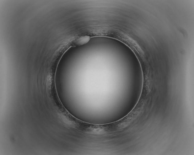 X0000113610113200909181427