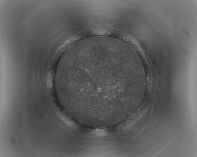 X0000113610114200909181427