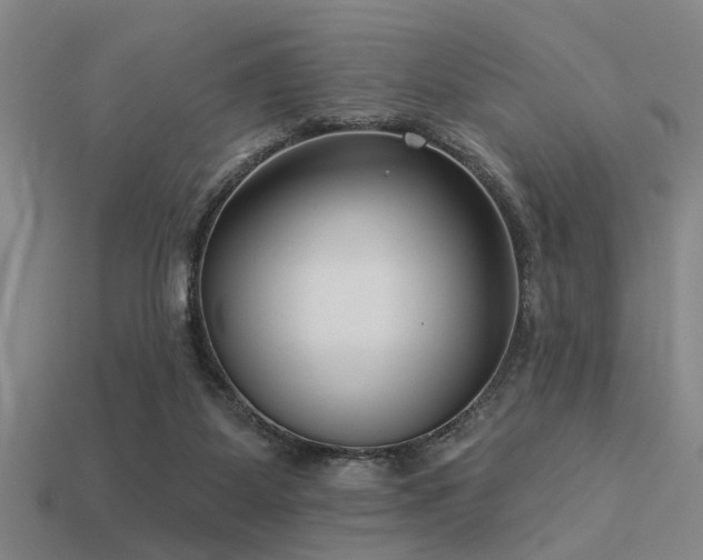 X0000113610115200909181427