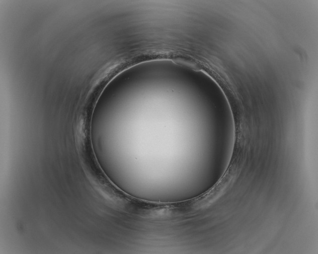 X0000113610116200909181427