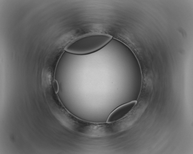 X0000113610117200909181427